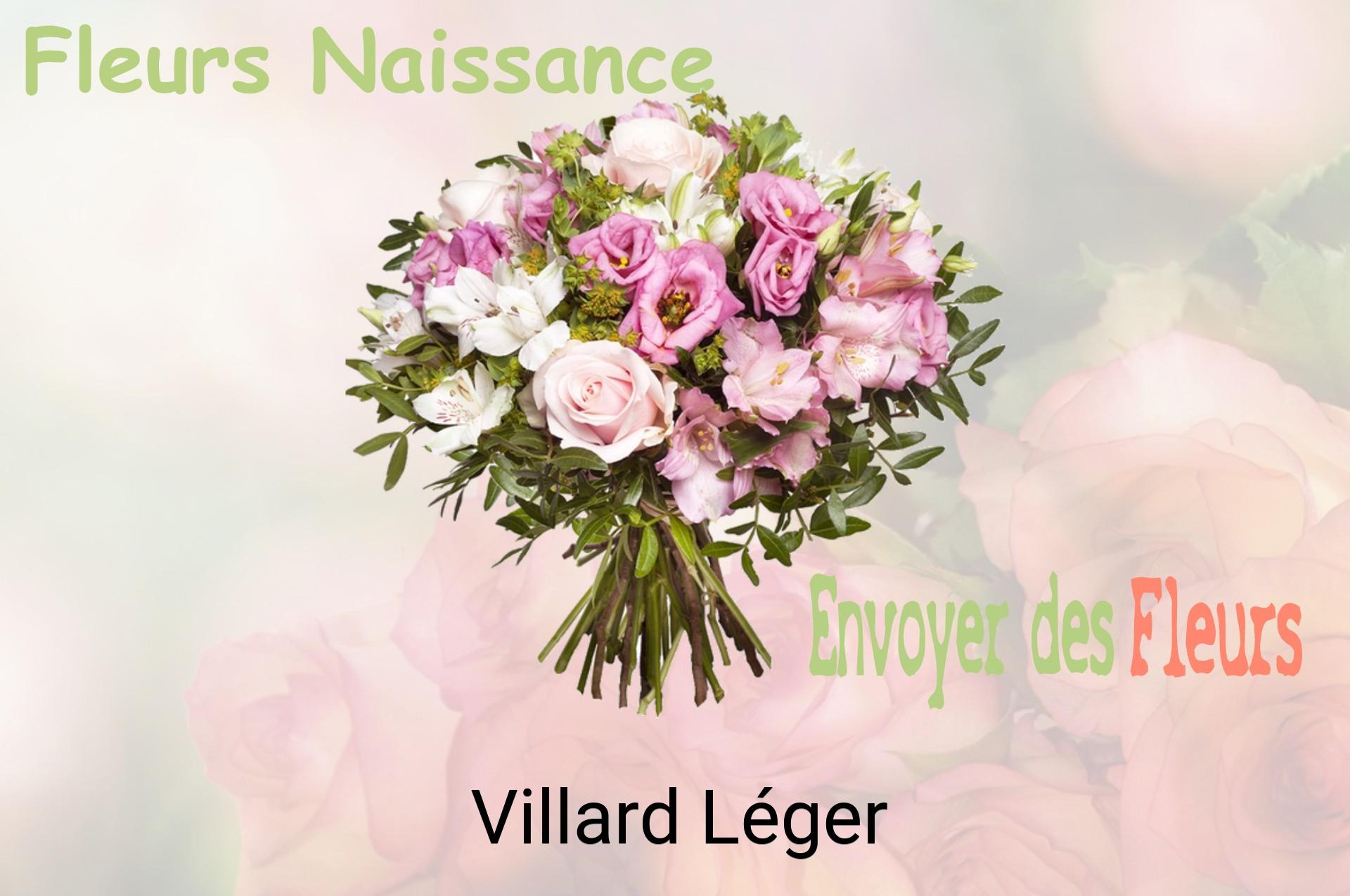 Bouquet de fleurs de naissance livré à Villard-Léger